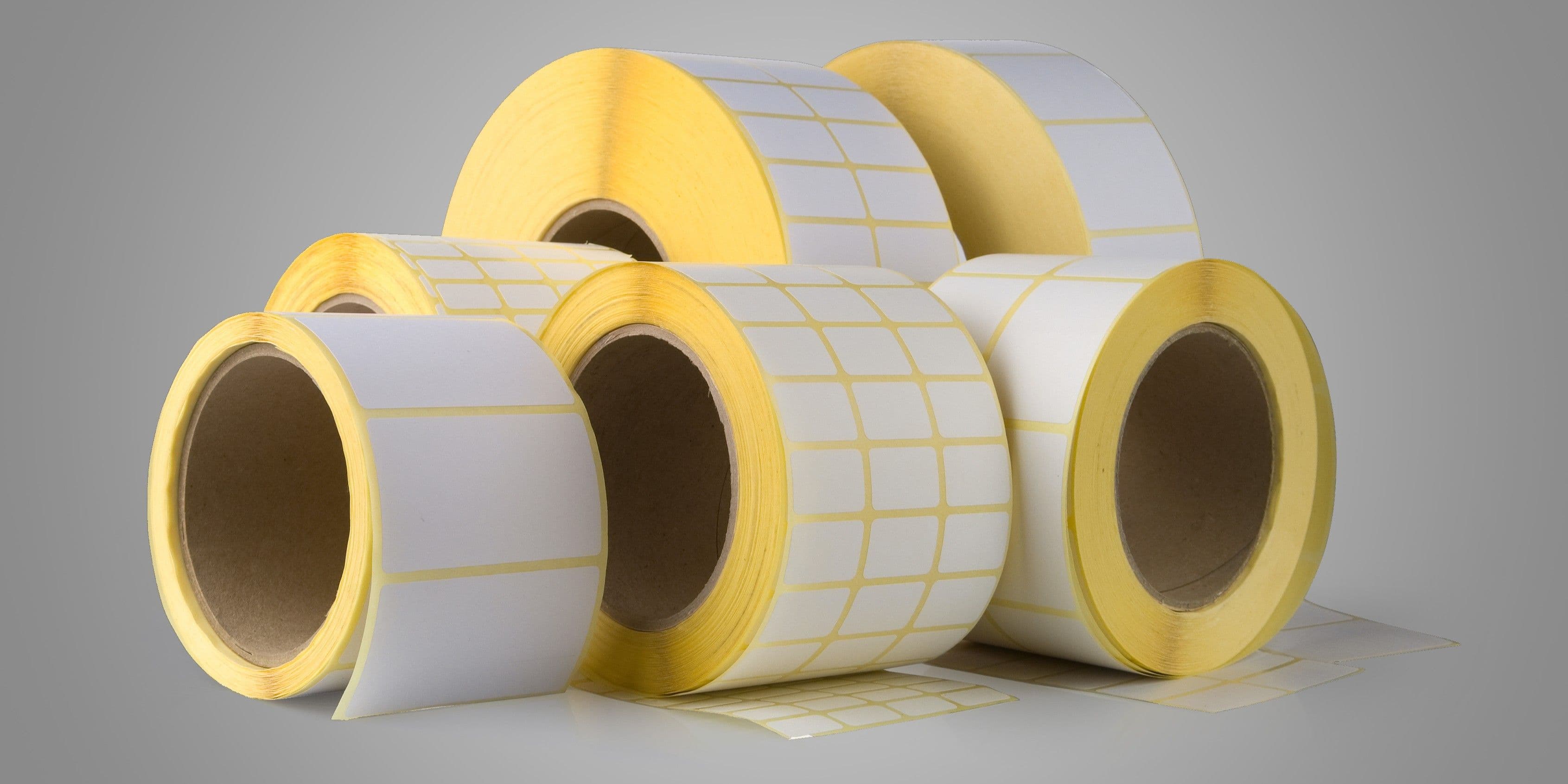 3_blank labels 2 x 1